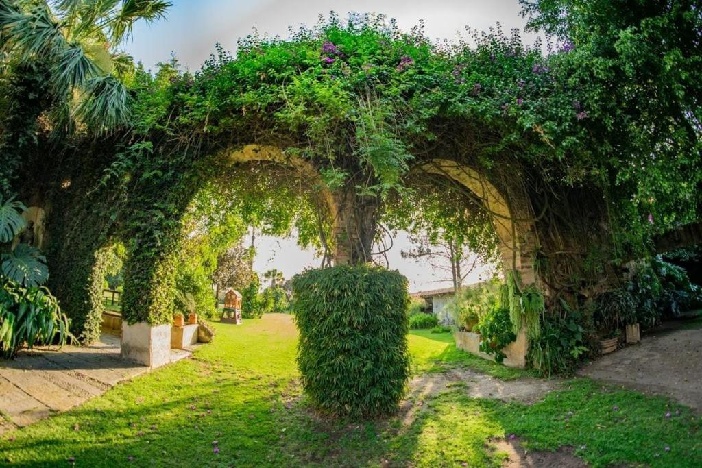 Finca San Javier El Arenal  Екстер'єр фото